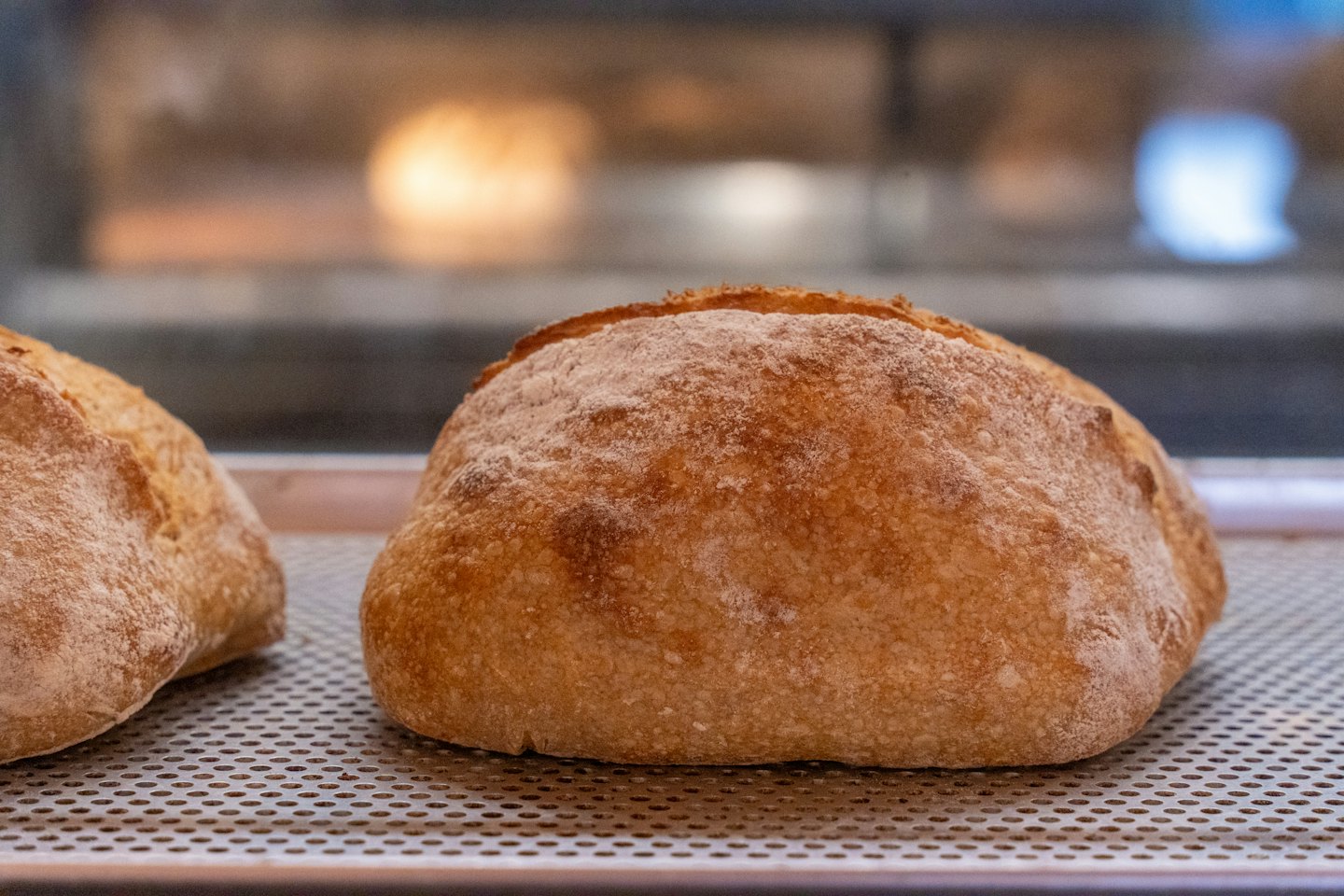 Two flour dusted sourdough loaves cooling on a metal rack.